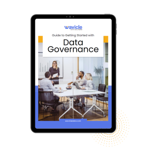 guide to data governance
