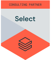 Databricks Consulting Partner
