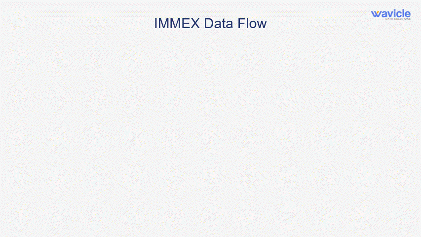 IMMEX Case Study Data Flow