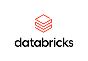 Wavicle Databricks Partner